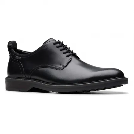 클락스 Aldwin Lace GTX 신발 142287336