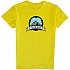 [해외]KRUSKIS Freeriders 반팔 티셔츠 1137151605 Yellow