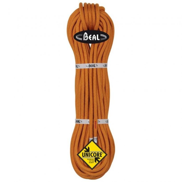 [해외]BEAL Wall Master 10.5 mm 로프 4136801581 Orange