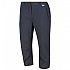 [해외]레가타 Chaska Capris II 3/4 바지 4137502328 Seal Grey