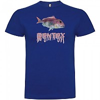 [해외]KRUSKIS Dentex 반팔 티셔츠 10137538056 Royal Blue