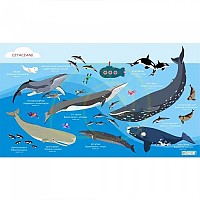 [해외]오셔나리움 수건 Cetaceans L 10137681028 Blue / Multicolor