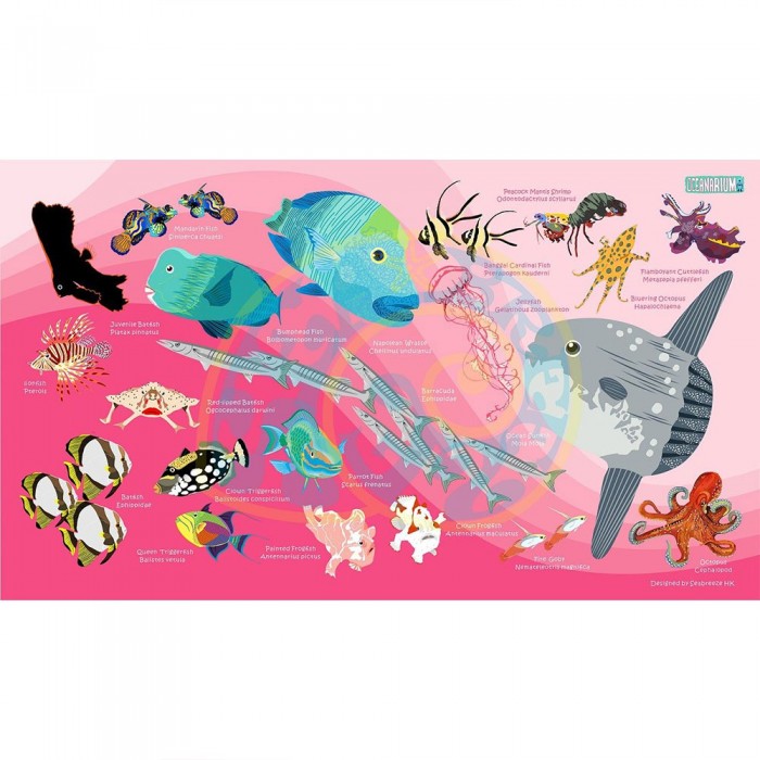 [해외]오셔나리움 수건 Sunfish L 10137681035 Pink / Multicolor