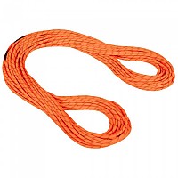 [해외]마무트 로프 Alpine Dry 8.0 Mm 4137424930 Dry Standard. Safety Orange / Bo