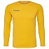 [해외]험멜 Firs퍼포먼스 긴팔 티셔츠 3137808535 Sports Yellow