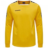 [해외]험멜 스웨트 셔츠 Authentic Training 3137808894 Sports Yellow