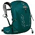 [해외]오스프리 Tempest 20L 배낭 4137941038 Jasper Green