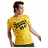 [해외]슈퍼드라이 Collegiate Graphic 185 반팔 티셔츠 137906178 Nautical Yellow