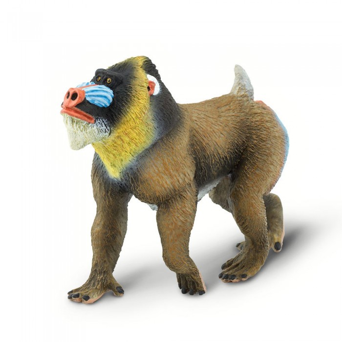 [해외]사파리엘티디 피겨 Mandrill 15137554132 Multicolor