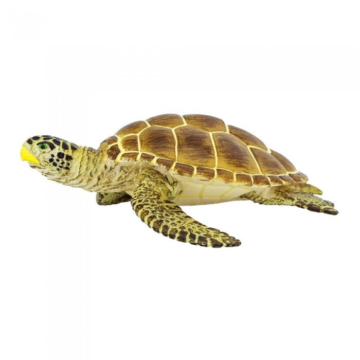 [해외]사파리엘티디 피겨 Loggerhead 터틀 15137554422 Brown / Beige