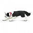 [해외]사파리엘티디 피겨 Border Collie 15137554576 Brown / White