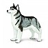 [해외]사파리엘티디 피겨 Siberian Husky 15137554581 Grey / White