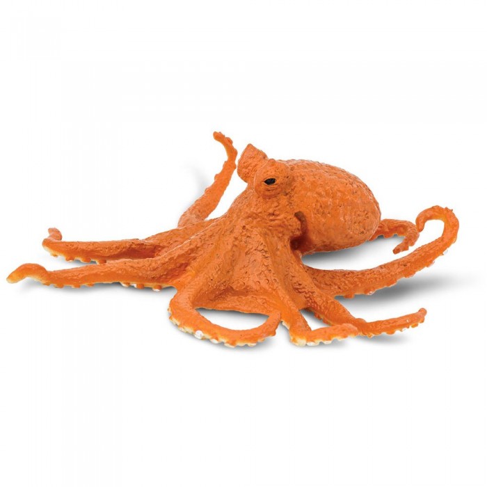 [해외]사파리엘티디 작은 입상 Octopus 2 15137554715 Orange