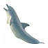 [해외]사파리엘티디 피겨 Dolphin Sea Life 15137554723 Grey