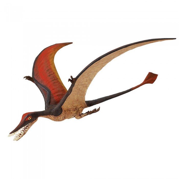 [해외]사파리엘티디 피겨 Ramphorhynchus 15137554837 Brown / Red