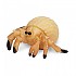 [해외]사파리엘티디 피겨 Hermit Crabs Good Luck 미니s 15137554920 Orange