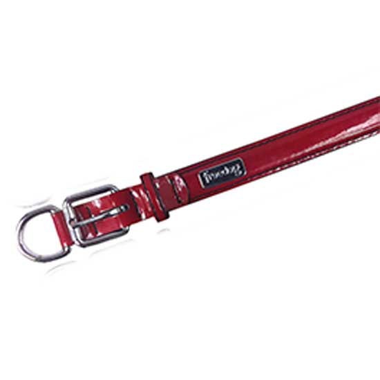 [해외]FREEDOG 칼라 Glam Deluxe 4138366622 Red