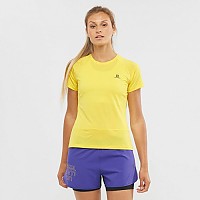 [해외]살로몬 Cross Run 반팔 티셔츠 6138519619 Empire Yellow / Heather