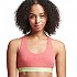 [해외]슈퍼드라이 Large Logo Crop lette NH Bra 브라 138833780 Coral Marl