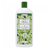 [해외]DRASANVI Olive Oil Shampoo 500ml 4138929774 Multicolour