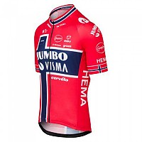 [해외]AGU Replica Norwegian Champion Team Jumbo-Visma Short Sleeve Jersey 1138699742 Yellow