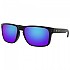 [해외]오클리 Holbrook XL Prizm Polarized 9137804986 Matte Black