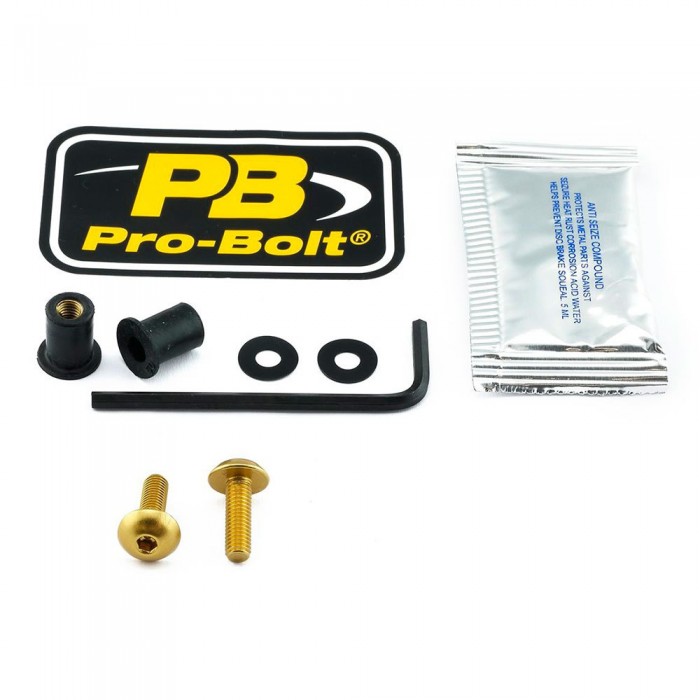 [해외]PRO BOLT 앞유리 나사 SCR 2 SK2G 9139078890 Gold