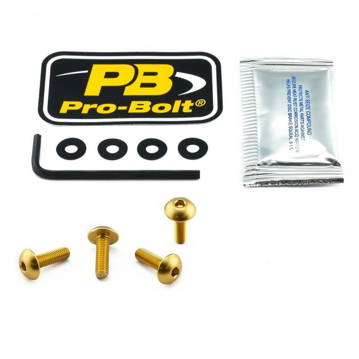 [해외]PRO BOLT SCR 4 SK416G 앞 유리 나사 9139078920 Gold