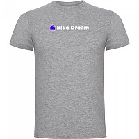 [해외]KRUSKIS Blue Dream 반팔 티셔츠 10139291725 Heather Grey