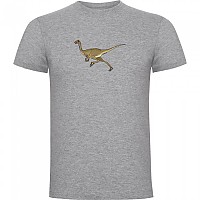 [해외]KRUSKIS Dino Run 반팔 티셔츠 6139291929 Heather Grey