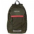 [해외]레가타 Jaxon III 10L 배낭 4137453374 Cypress Green / Diva Pink