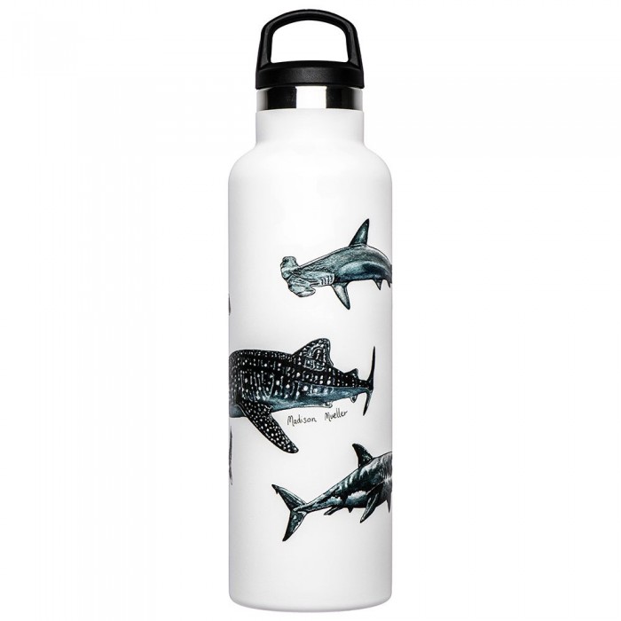 [해외]FISH TANK 상어 포스터 병 600ml 4137542840 Shark Poster