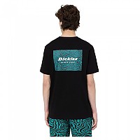 [해외]디키즈 Clackamas Box 반팔 티셔츠 14139549433 Black