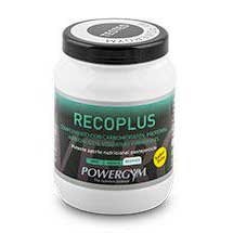 [해외]POWERGYM 파인애플 Recoplus 720g 41306011