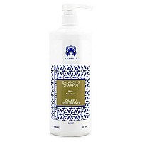 [해외]VALQUER Shampoo Balance Aloe Vera Eco Ph Neutre 1000Ml Shampoos 139344344