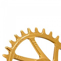 [해외]GARBARUK Cannondale Hollowgram Ai-Compatible 타원형 체인링 1139731301 Gold