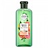 [해외]HERBAL ESSENCES 400ml Grapefruit Shampoo 139777414 Multicolor
