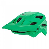 [해외]캐논데일 Terrus MIPS MTB 헬멧 1139962177 Forest Green