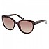 [해외]GUESS 색안경 GU7877 139832586 Dark Havana / Brown Polarized