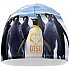 [해외]OTSO 비니 6137914857 Penguins