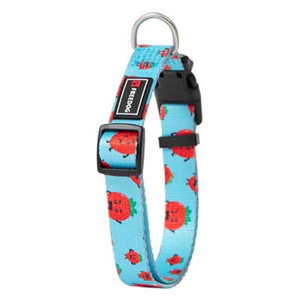 [해외]FREEDOG 칼라 Strawberry 4139398608 Blue / Red