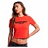 [해외]슈퍼드라이 Sport Luxe Graphic Fitted 반팔 티셔츠 140140927 Sunset Red