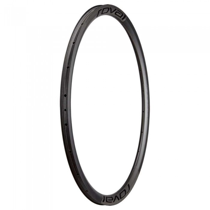 [해외]스페셜라이즈드 My20 Alpinist CLX Carbon Disc 21 mm Internal 뒷바퀴 테두리 1140247046 Satin Carbon / Black