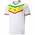 [해외]푸마 반팔 티셔츠 홈 Senegal 22/23 3139003961 Puma White / Pepper Green
