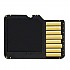 [해외]가민 칼집 16 GB MicroSD Class 10 Card With SD Adapter 4137533467 Black