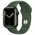 [해외]APPLE Series 7 GPS+Cellular 41 mm watch 1138413027 Green Clover