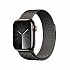 [해외]APPLE Series 9 GPS+Cellular 41 mm watch 1140371239 Graphite / Steel Milanese