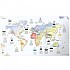 [해외]AWESOME MAPS Yoga Illustrated World Map For Enthusiasts 지도 9138435107