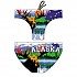 [해외]터보 수영 브리프 Alaska 625424 Multicoloured