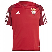 [해외]아디다스 주니어 반팔 티셔츠 SL Benfica 23/24 3139927717 Tepore